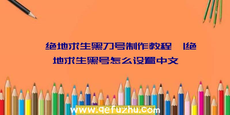 「绝地求生黑刀号制作教程」|绝地求生黑号怎么设置中文